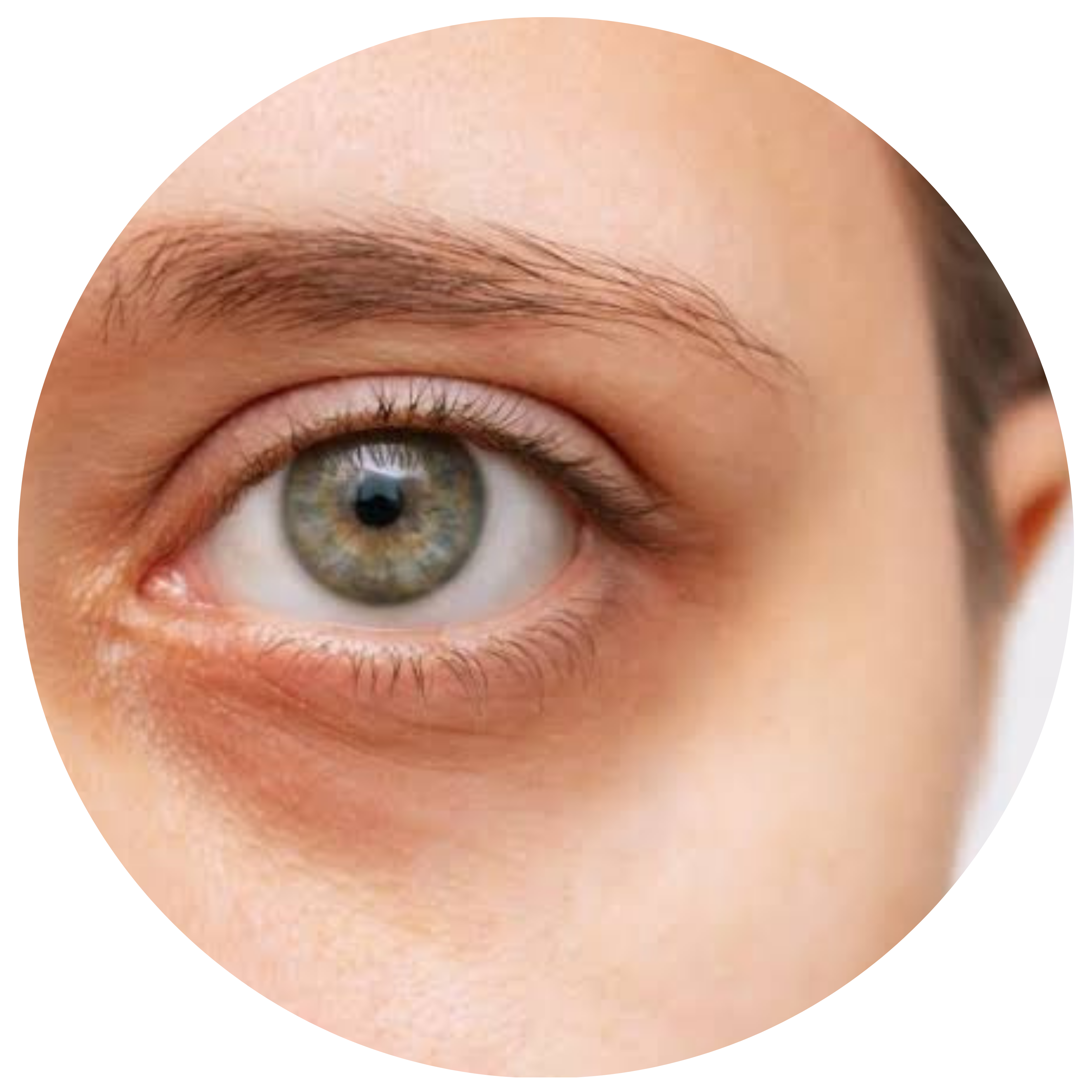 Olhar renovado com o Protocolo Lifteyes